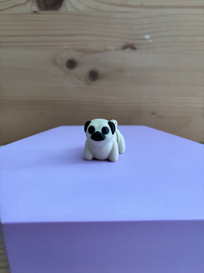 Mini pug