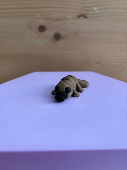 Mini platypus