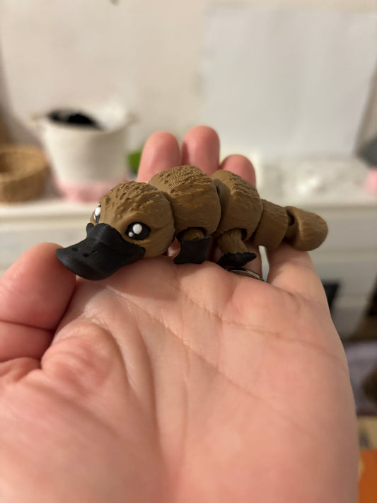 Baby platypus