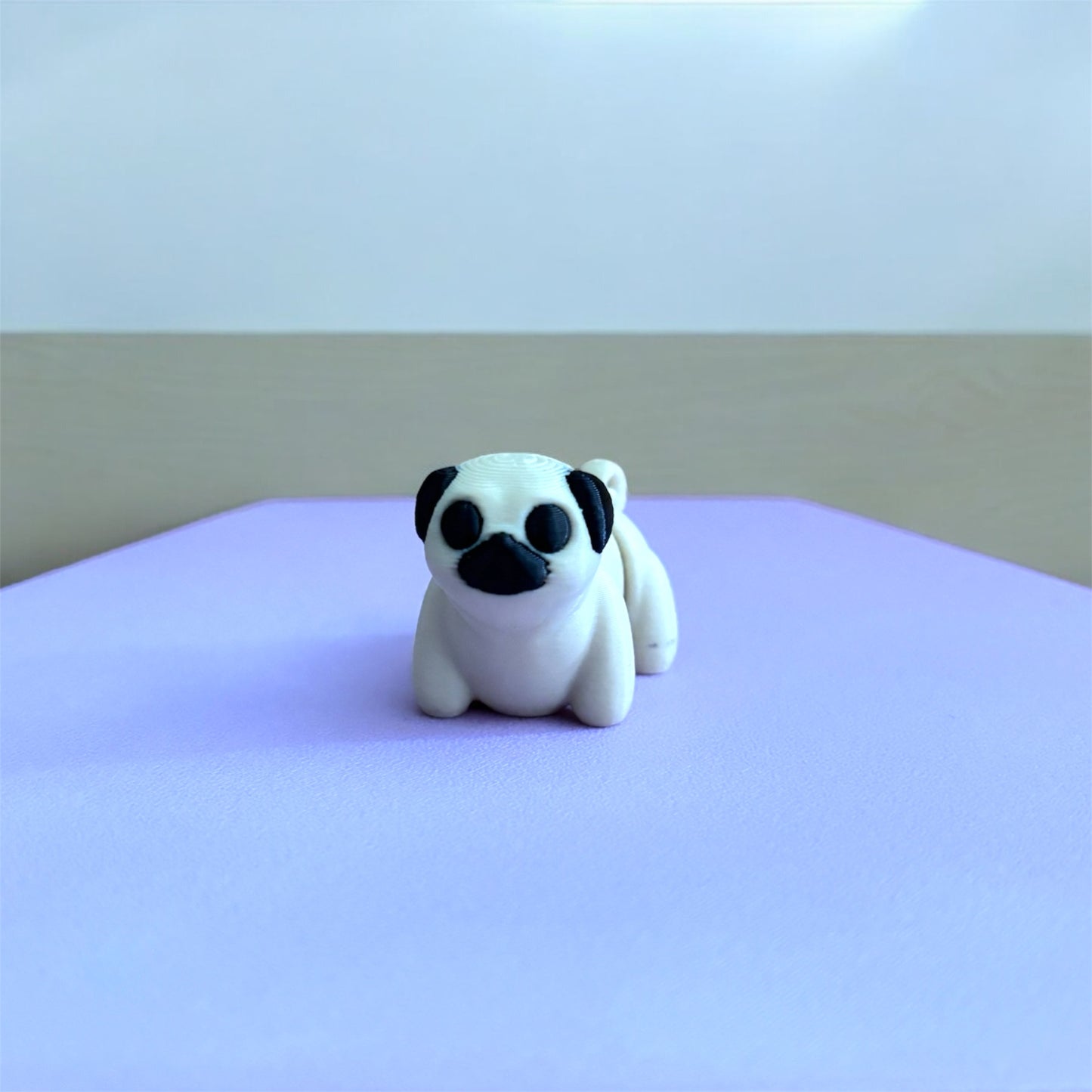 Mini pug